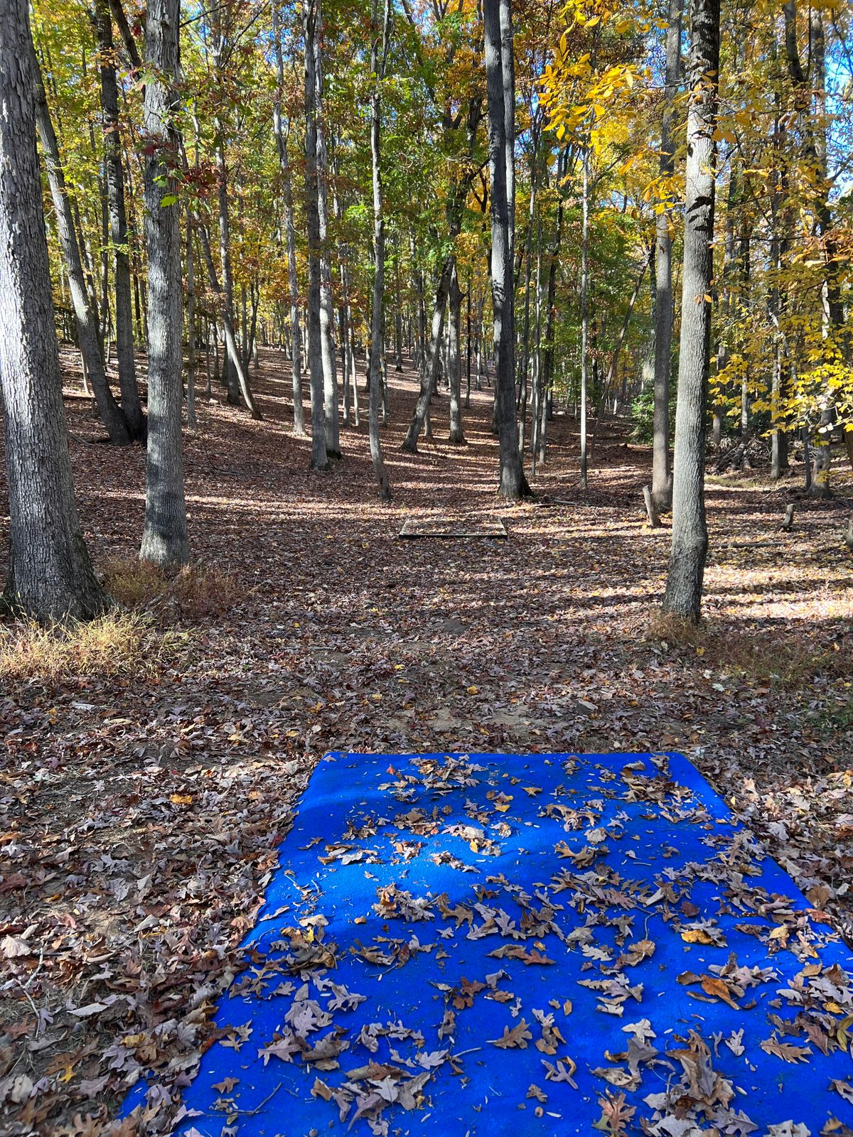 Hole 8