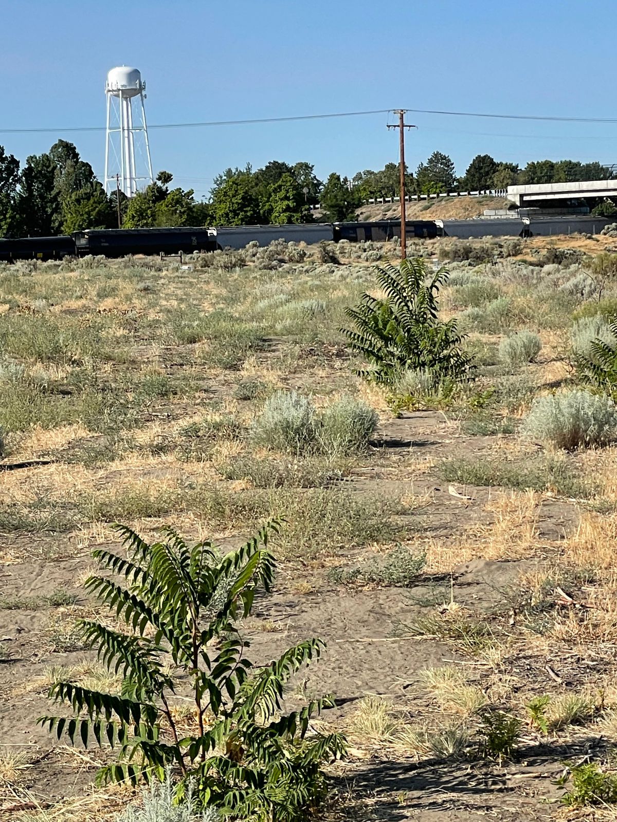 Hole 6