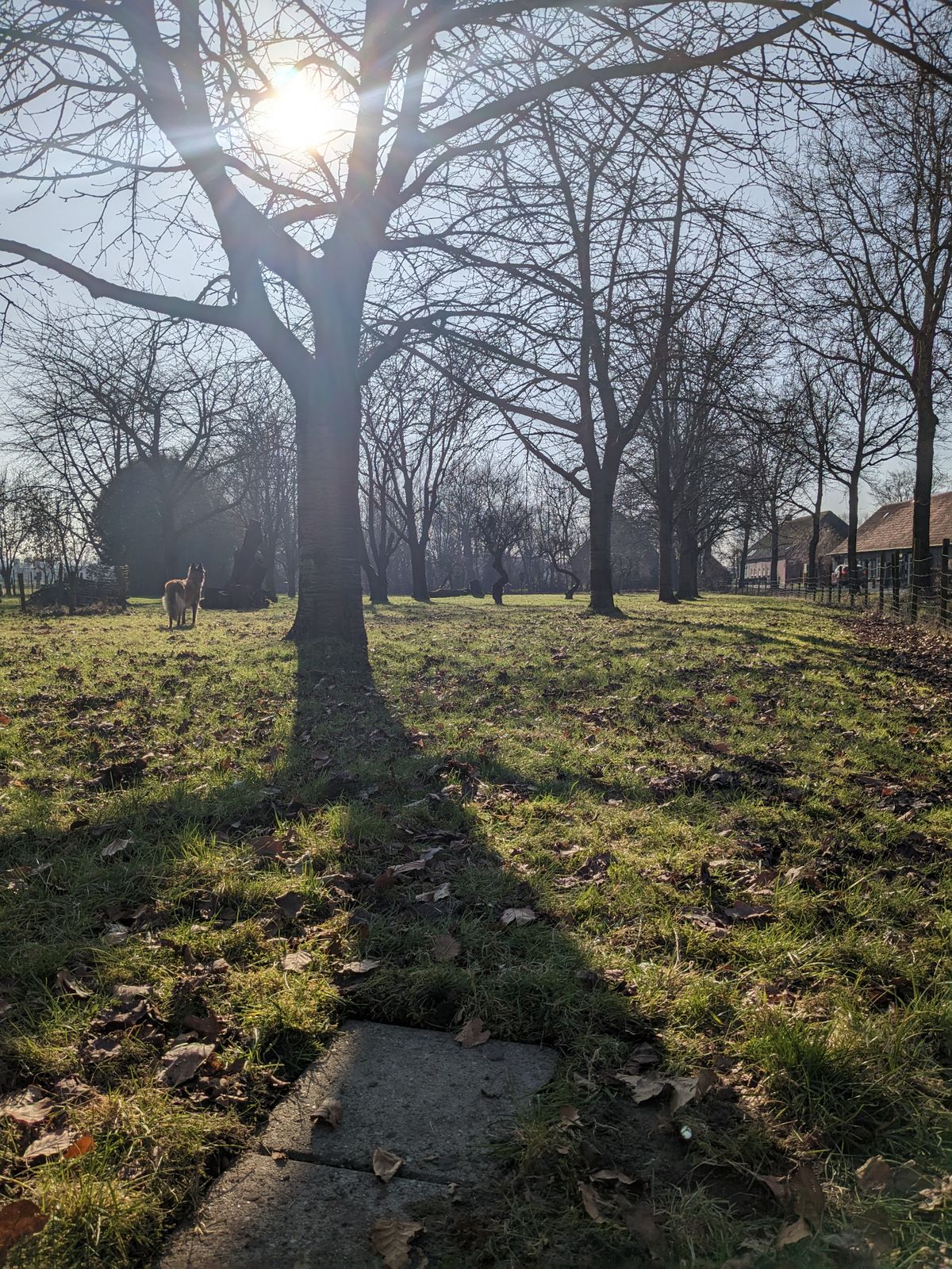 Hole 7
