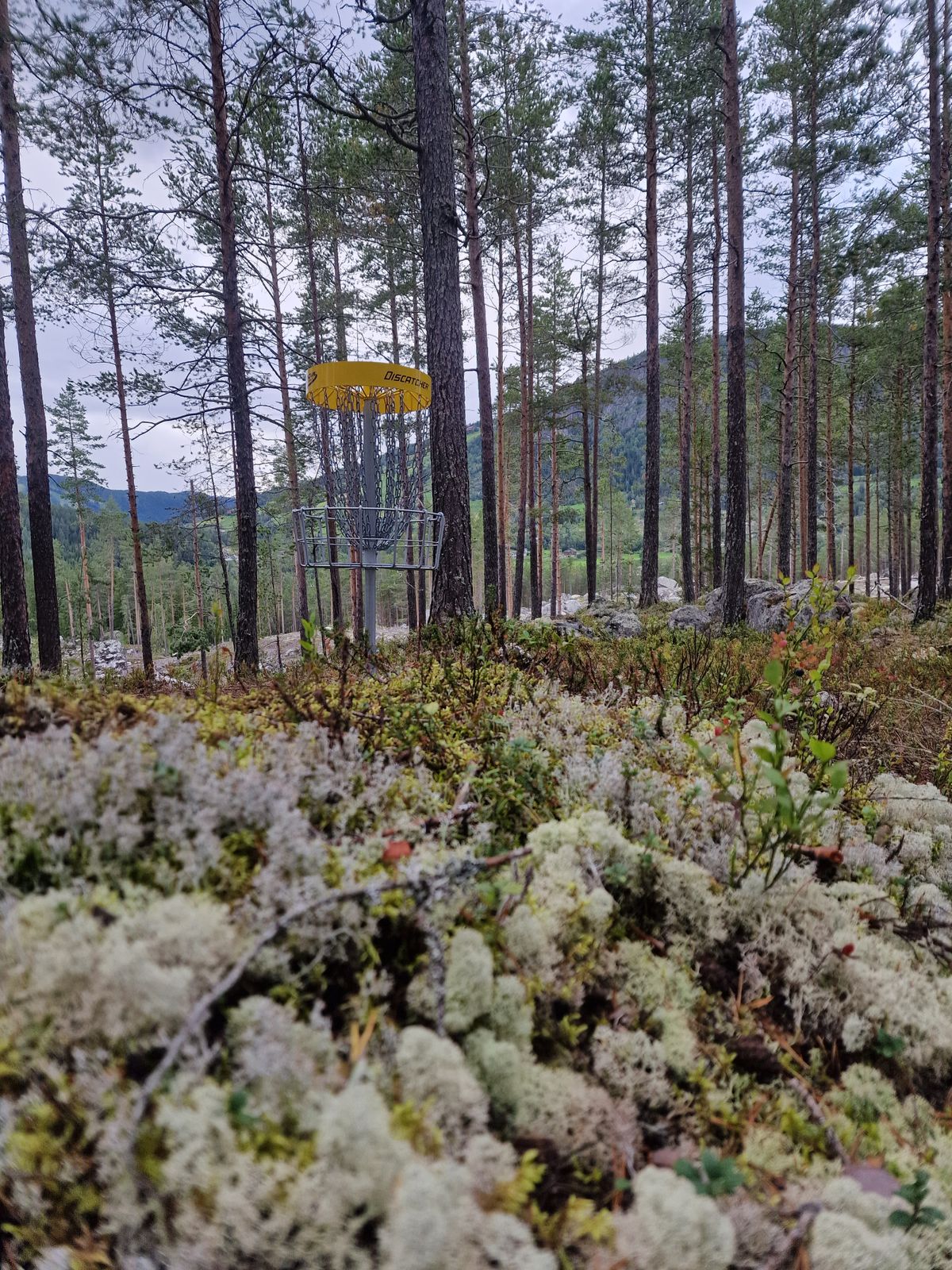 Basket hole 8