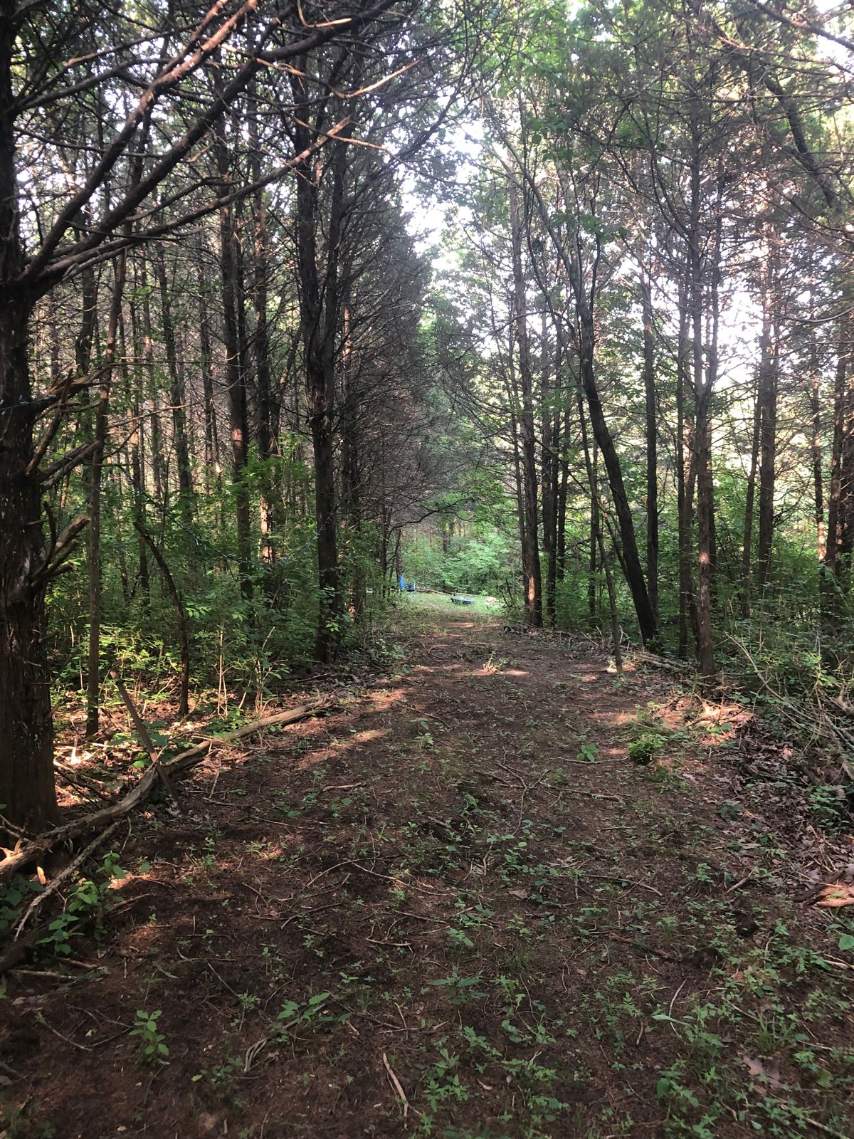 Hole 4 fairway