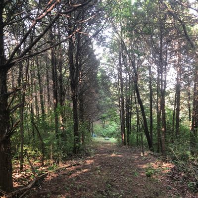 Hole 4 fairway