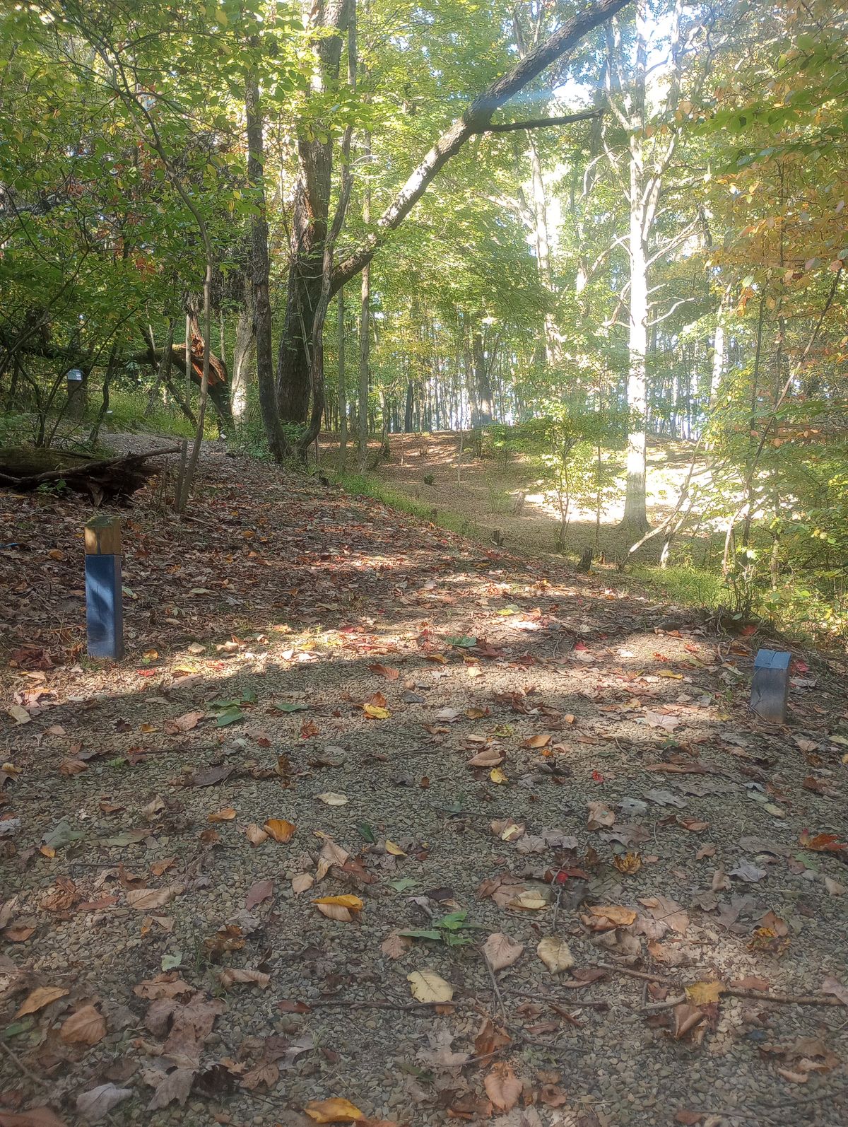 Hole 2 (fall)