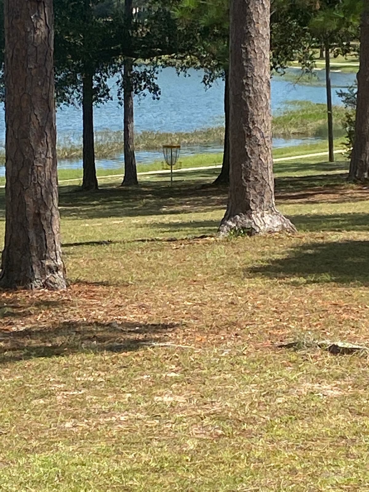 Hole 7