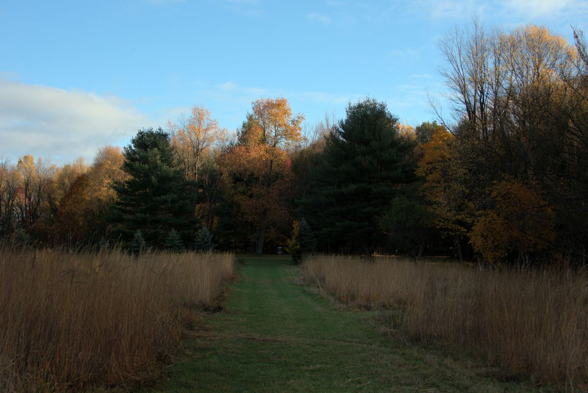 Hole 6 Longs