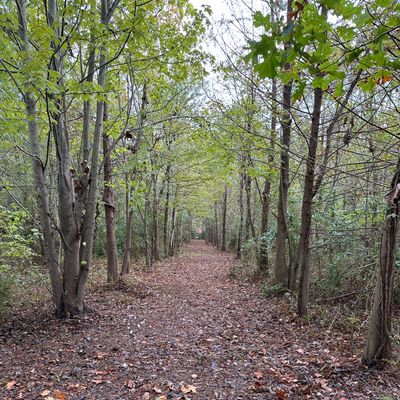 Hole 4 tee