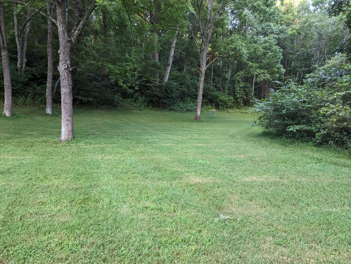 Hole 6's teepad, looking towards the basket around the corner