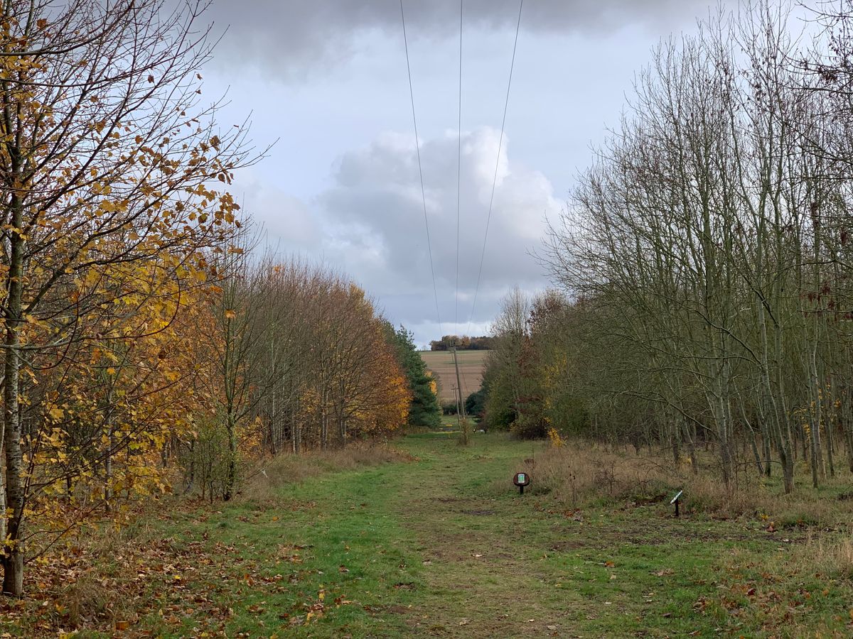 View down ‘the ride’ - holes 8-10