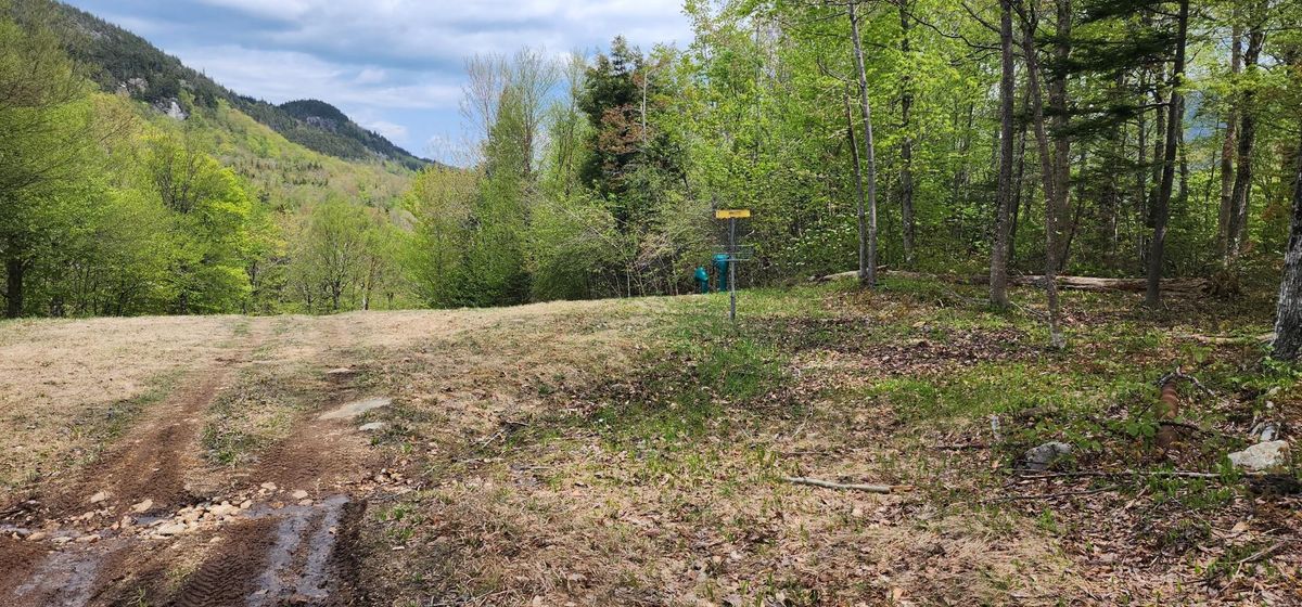 Hole 7