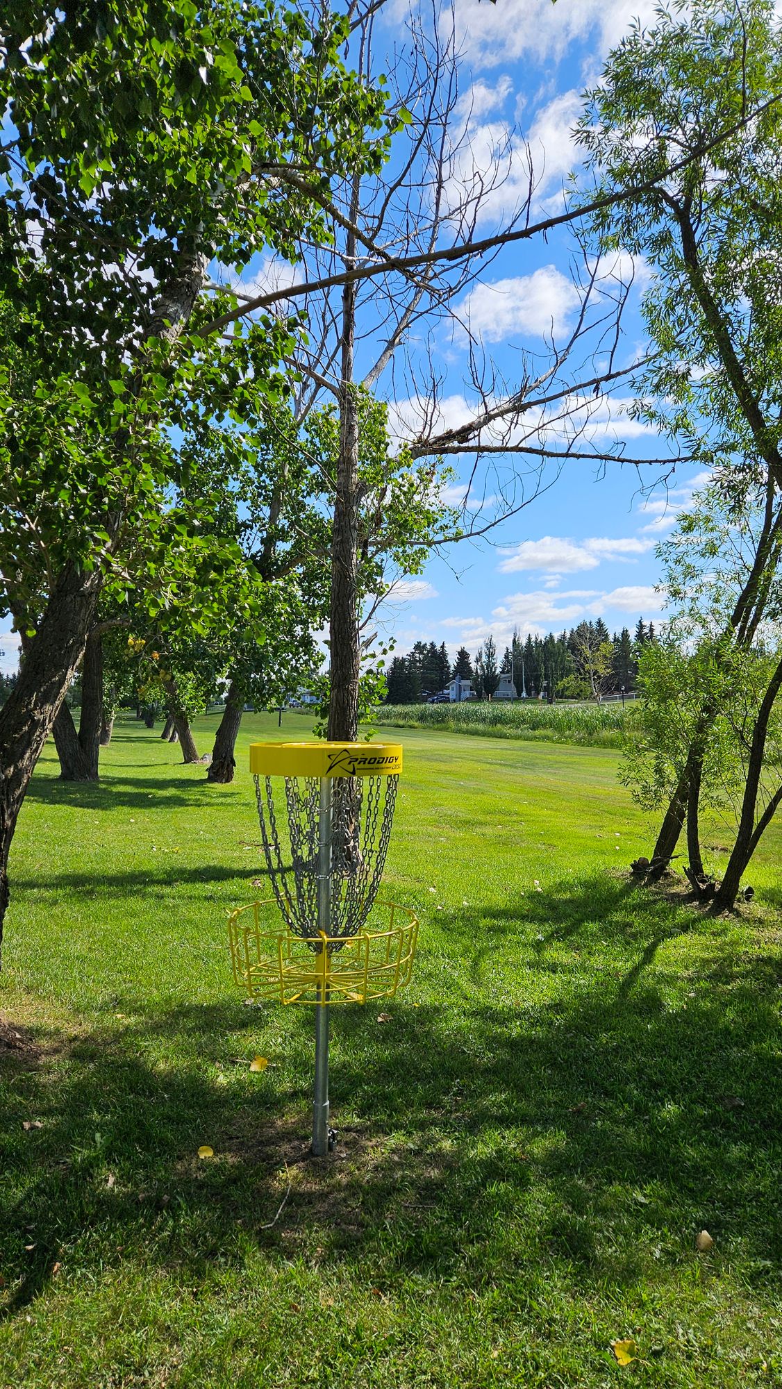 Hole 1 basket looking back at fairway