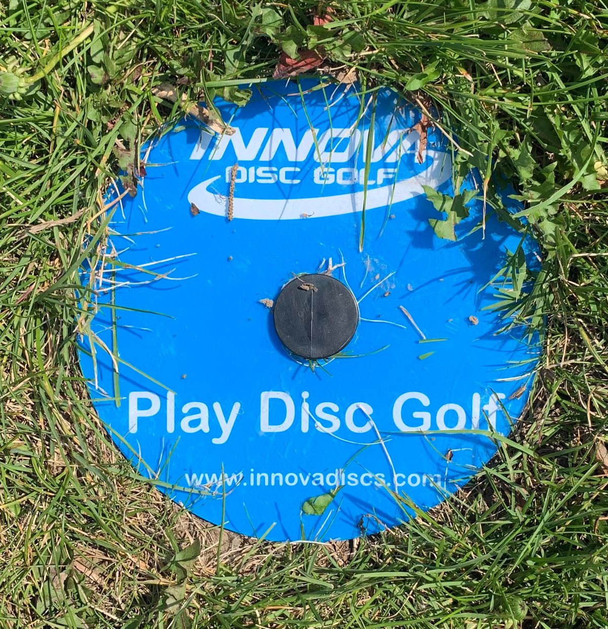 Tee markers at each hole