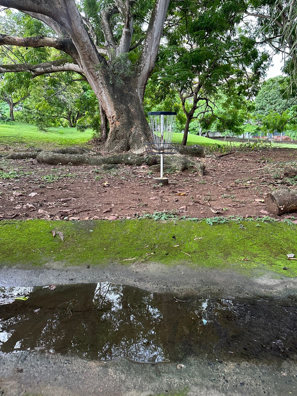 Parque Omar DG Course
Hole 6 Target