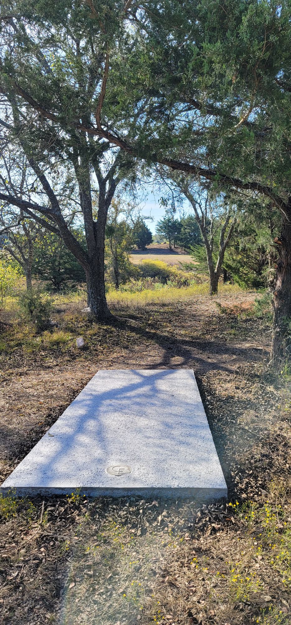 Hole 12 long tee