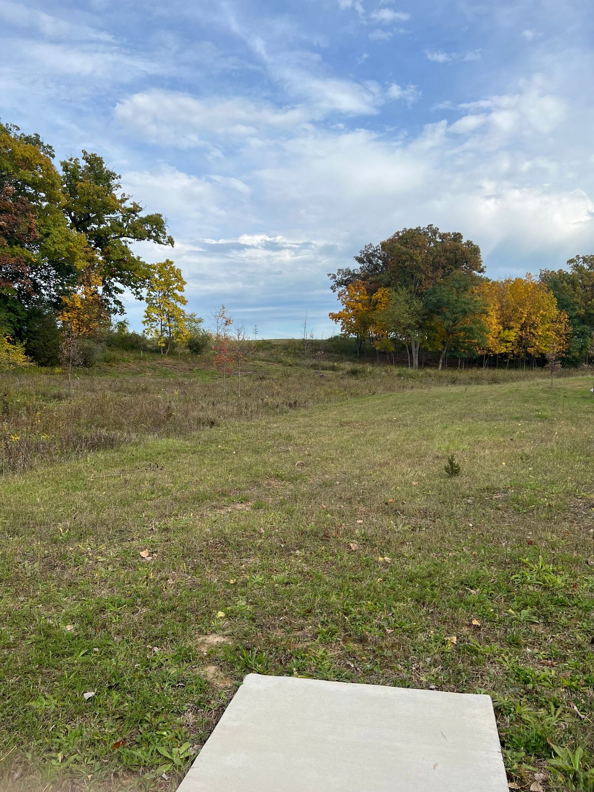 Tee 3. Basket is in the woods, a lot of fun lines to try here. OB is a little rough.