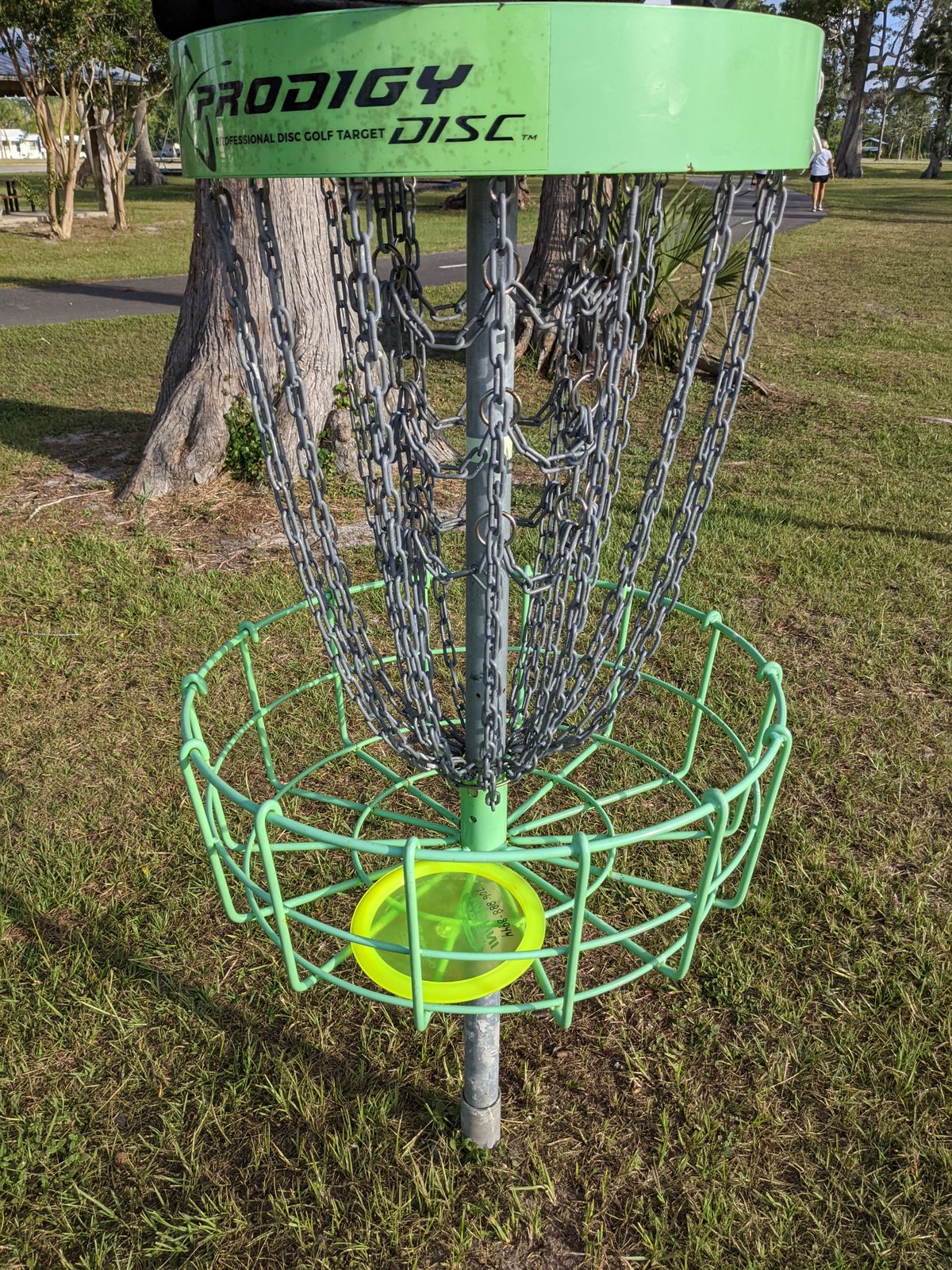 Ace
