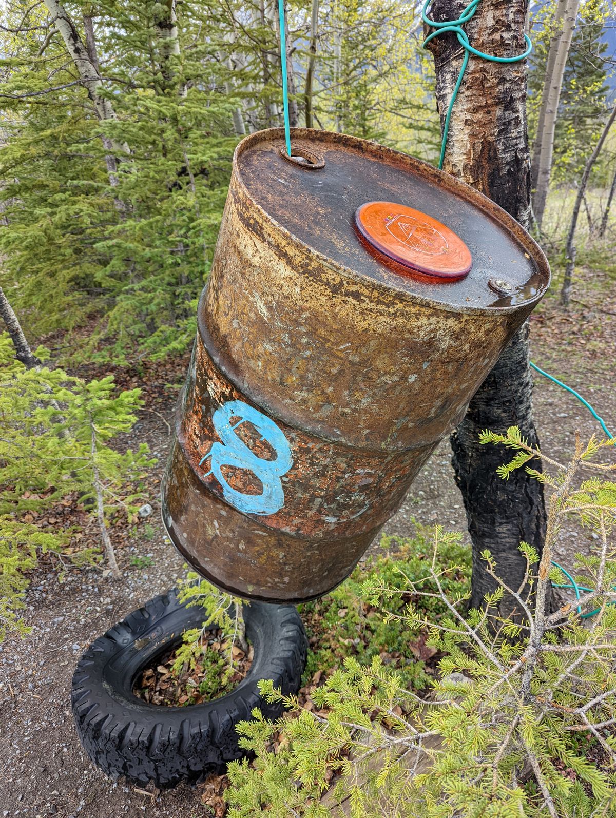 Stay classy hole 8.