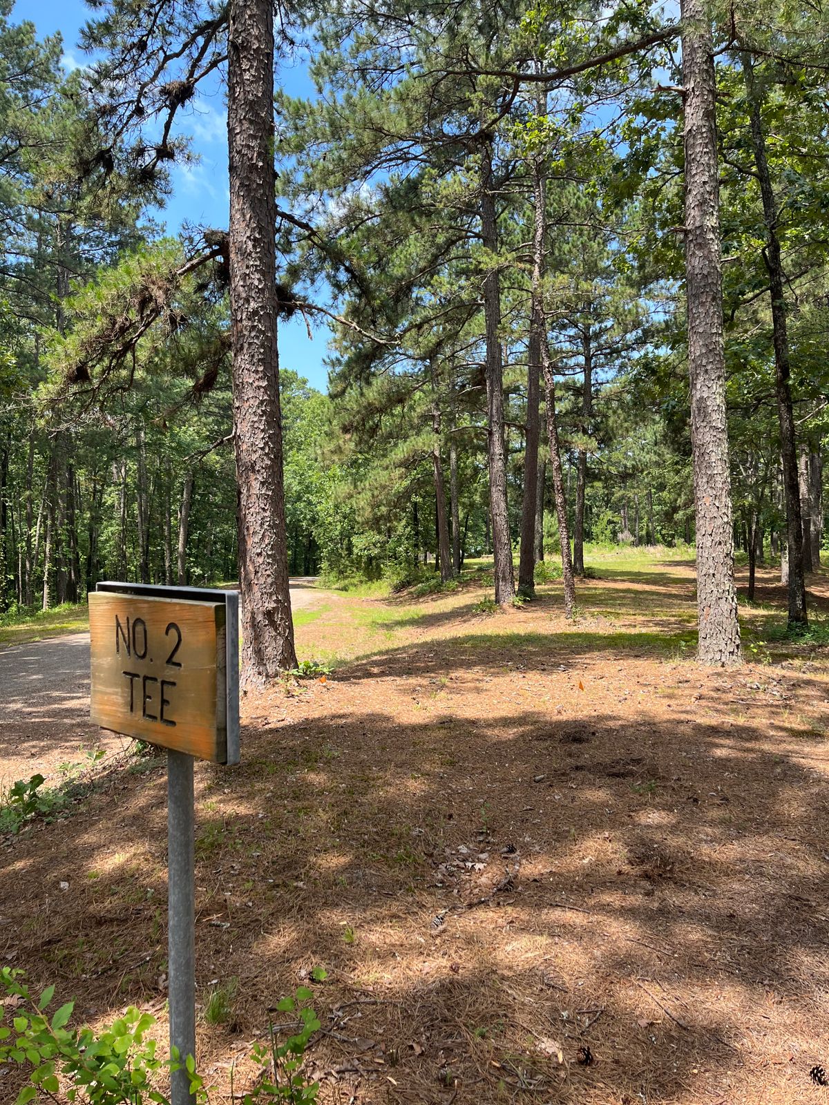 Hole 2 tee