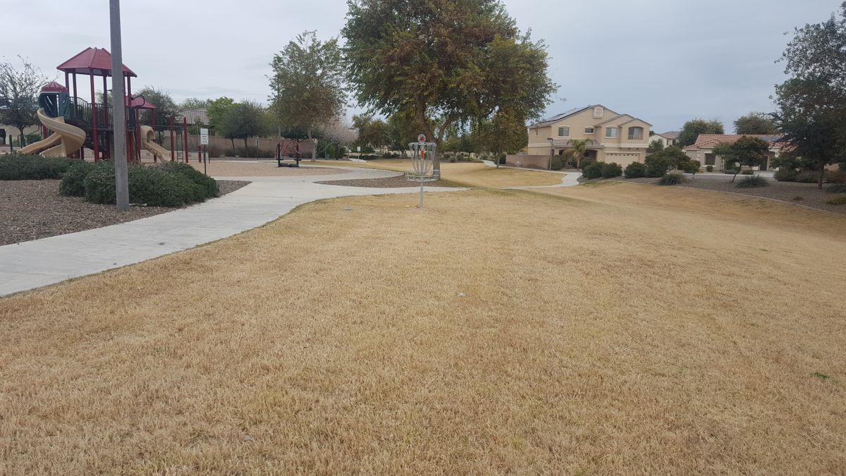 Hole 4 basket