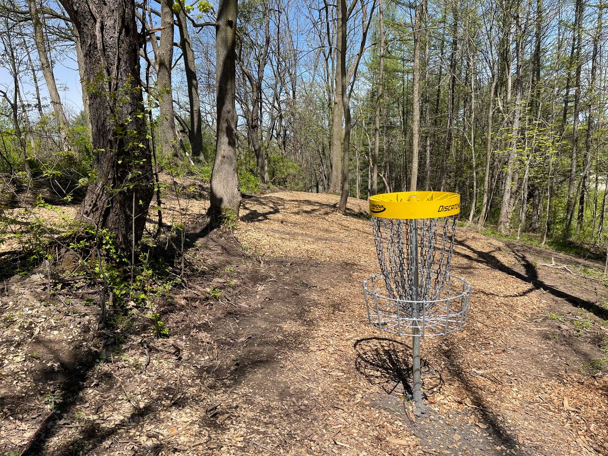 Hole 8 Basket to Tee
