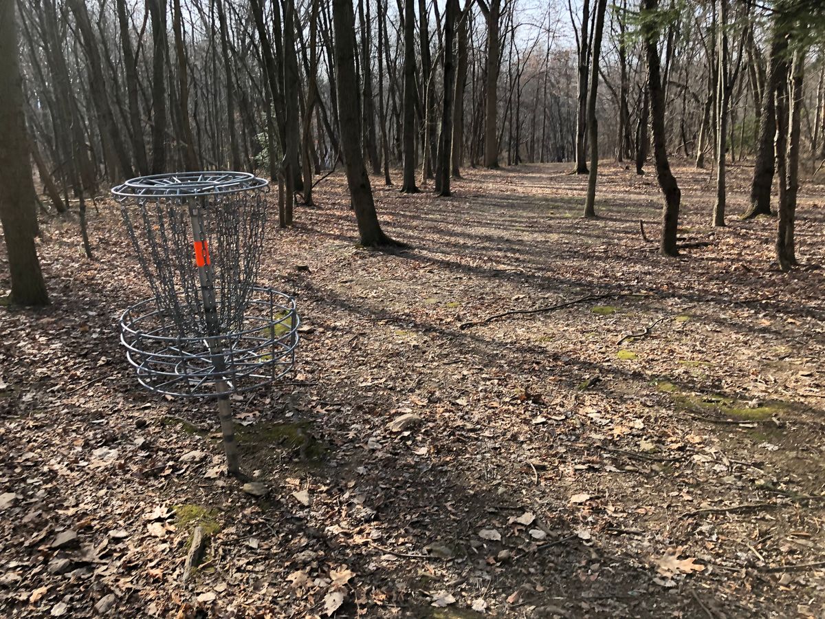 Hole 5 Basket