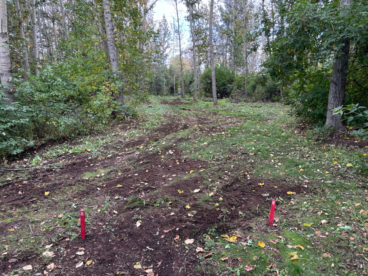 Hole 11 Reds