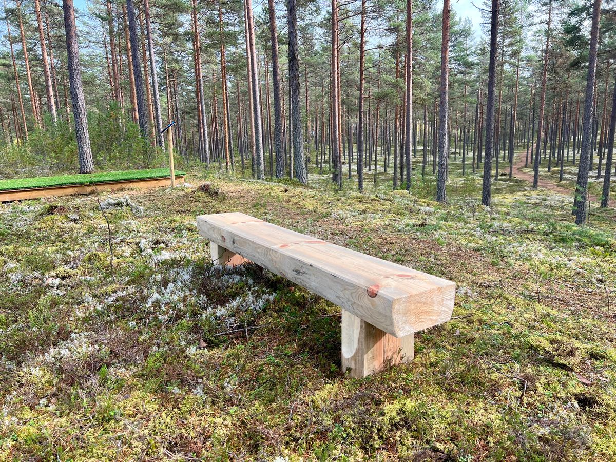 Stadig bänk vid hål 6.