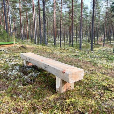 Stadig bänk vid hål 6.