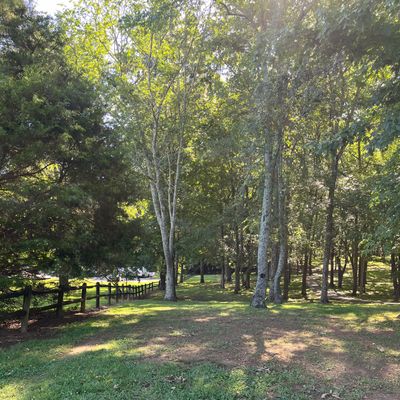 Hole 4 Tee