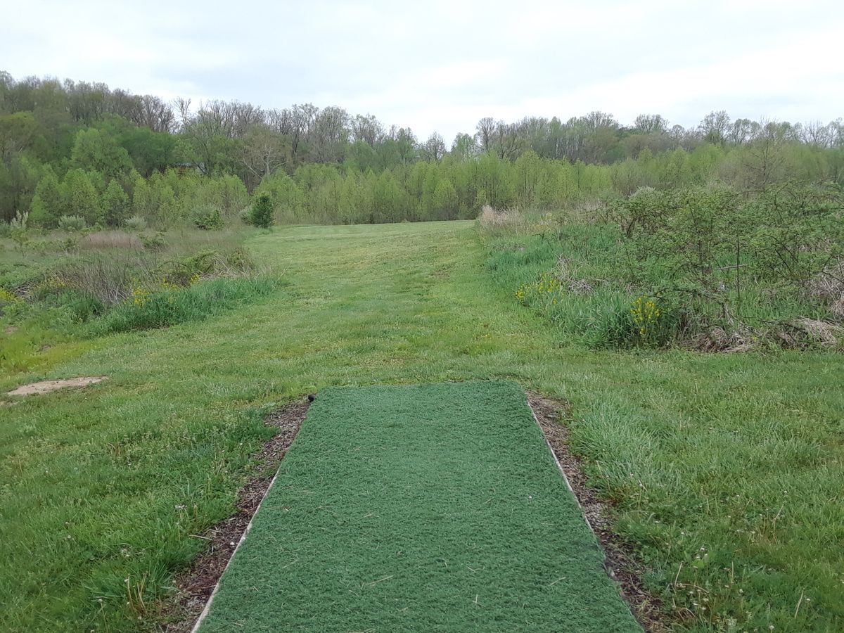 hole 11