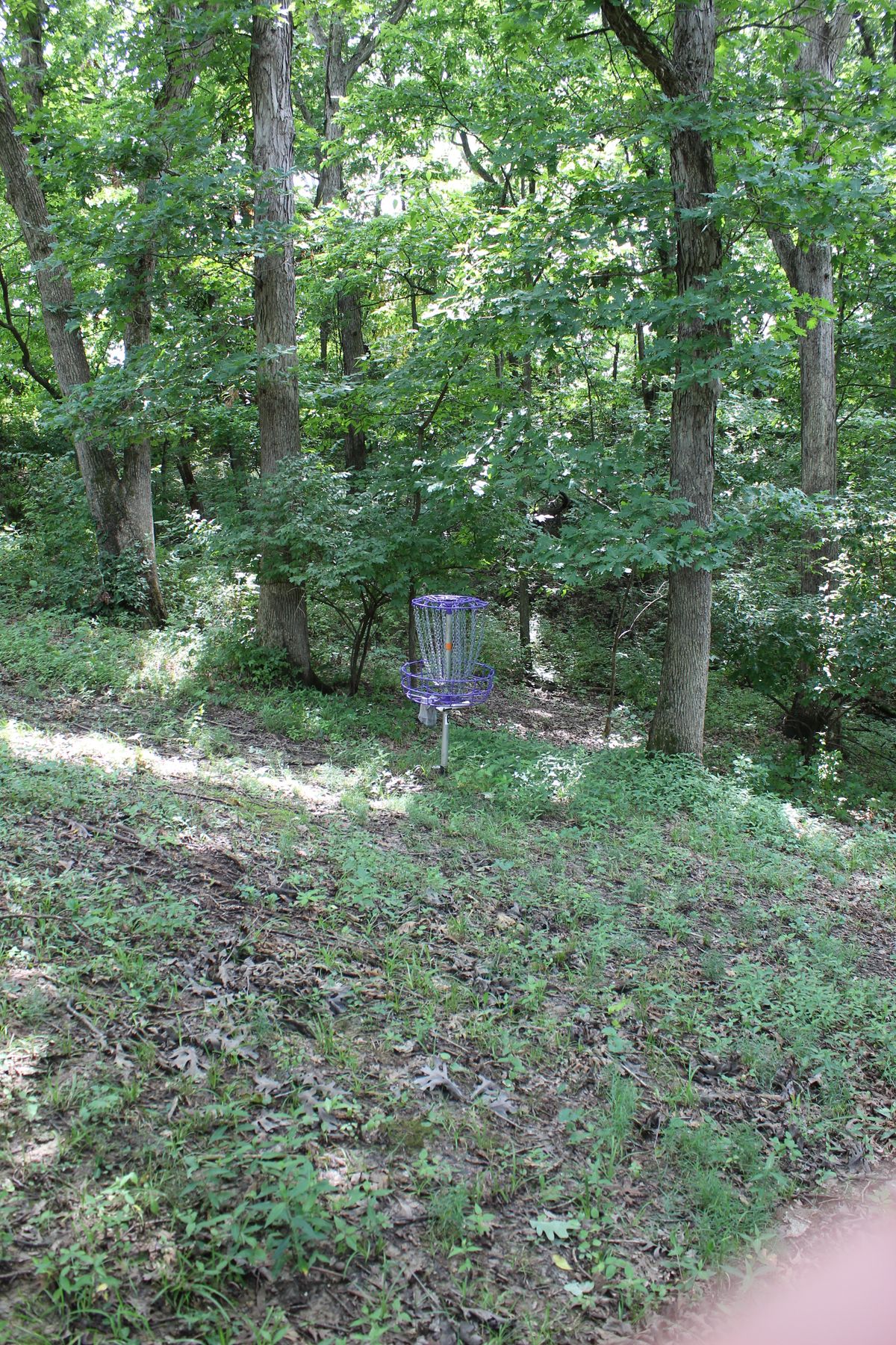 Hole 6 (Circle 1)