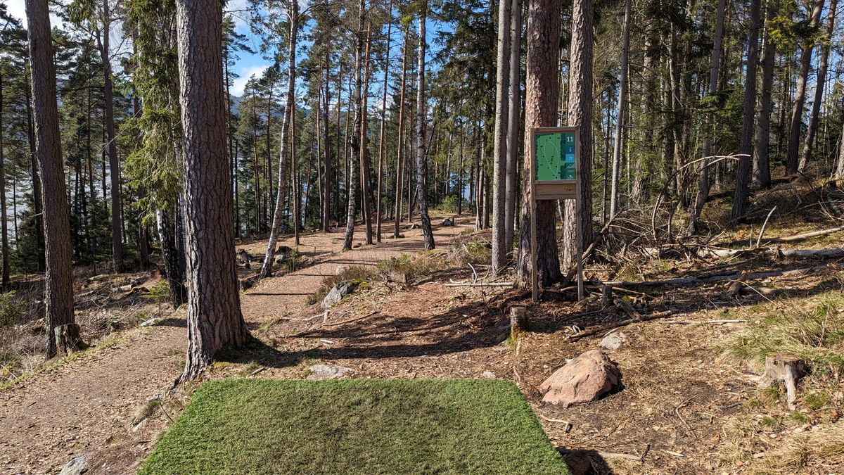 Tee - 11