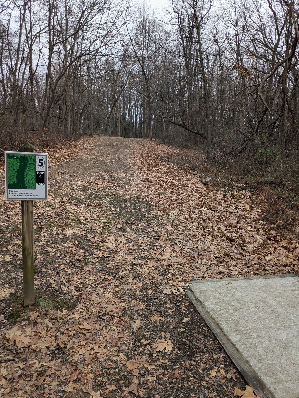 Hole 5 tee pad.
