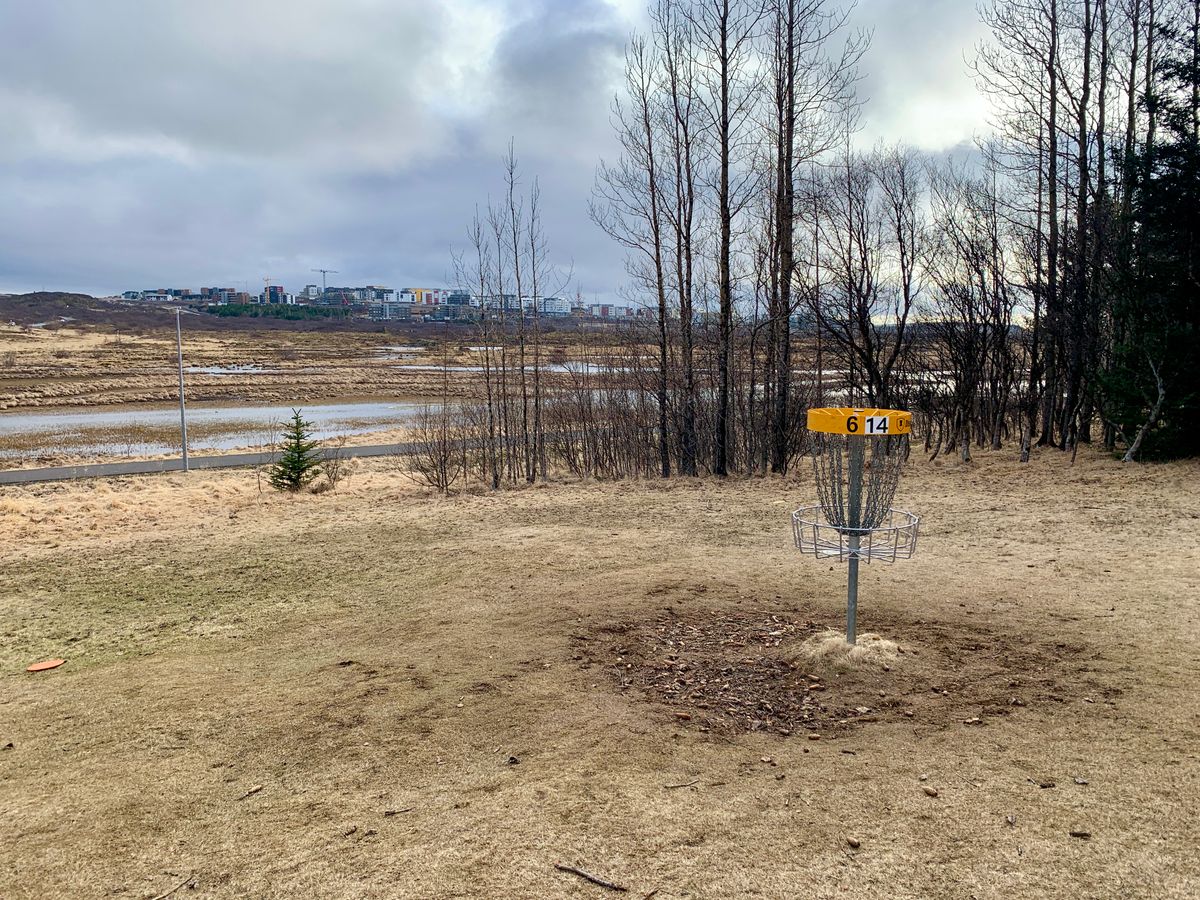 Hole 6