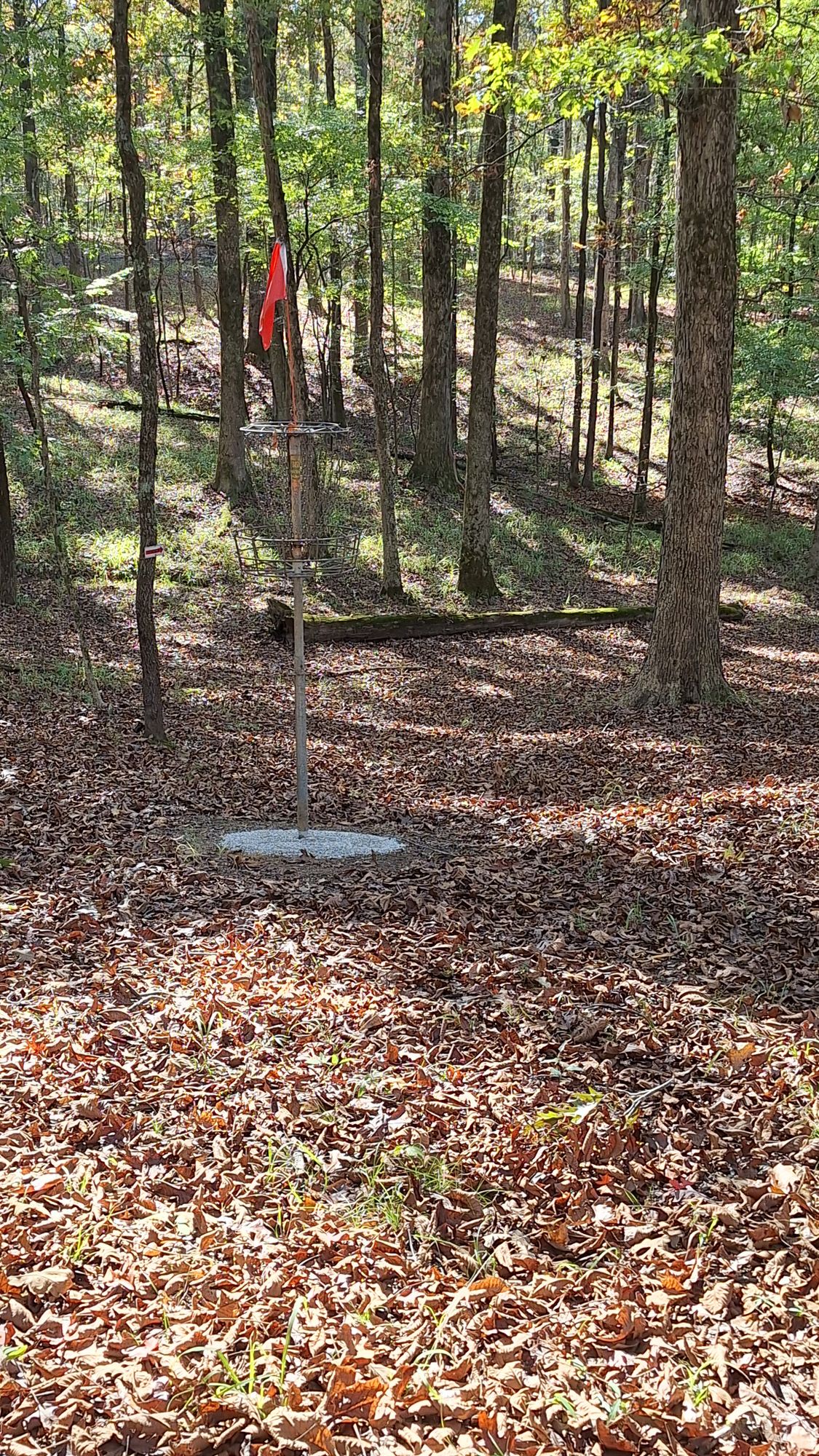 Hole 5 basket