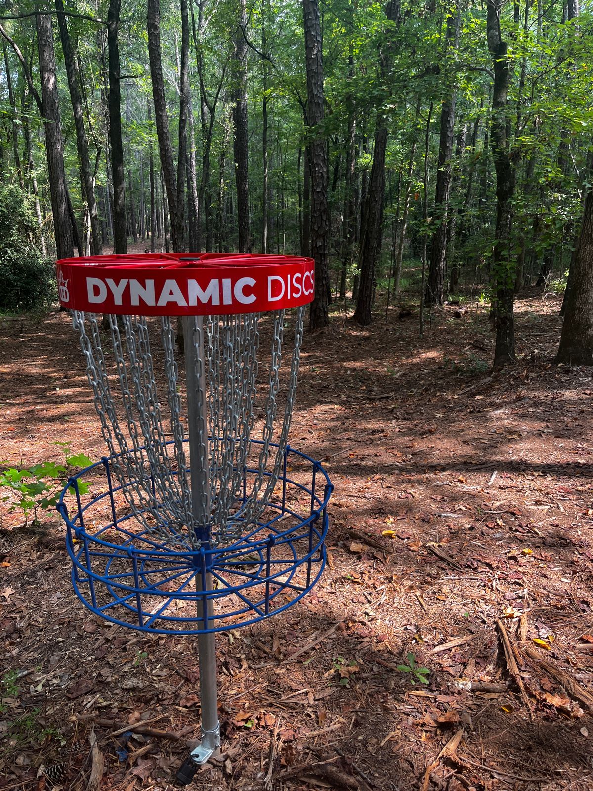 Hole 2 basket