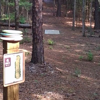 9 hole Short course #4