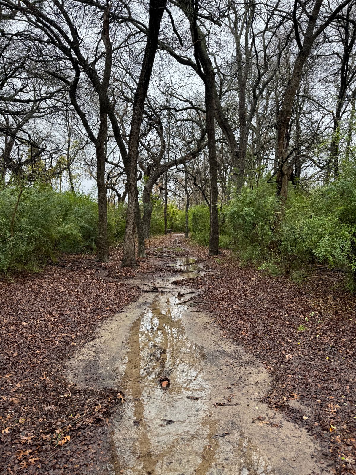 Hole 1 long, river