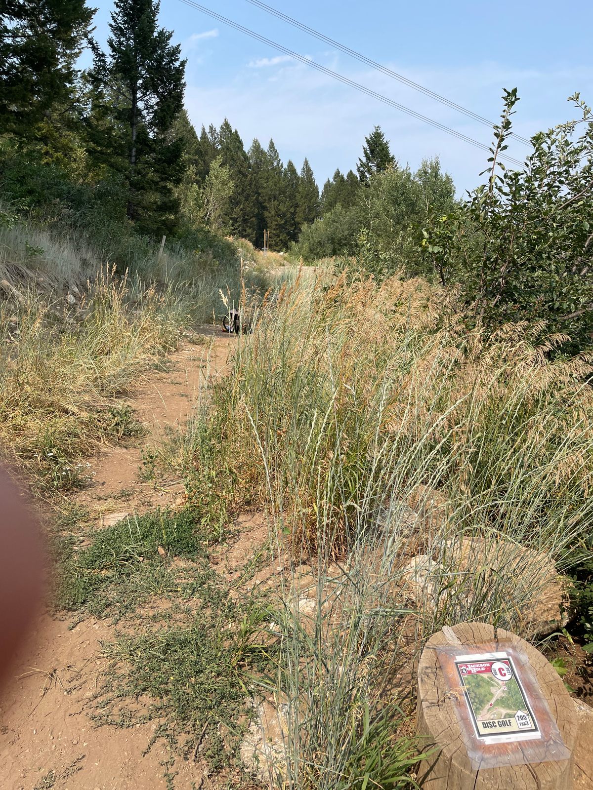 Hole 12