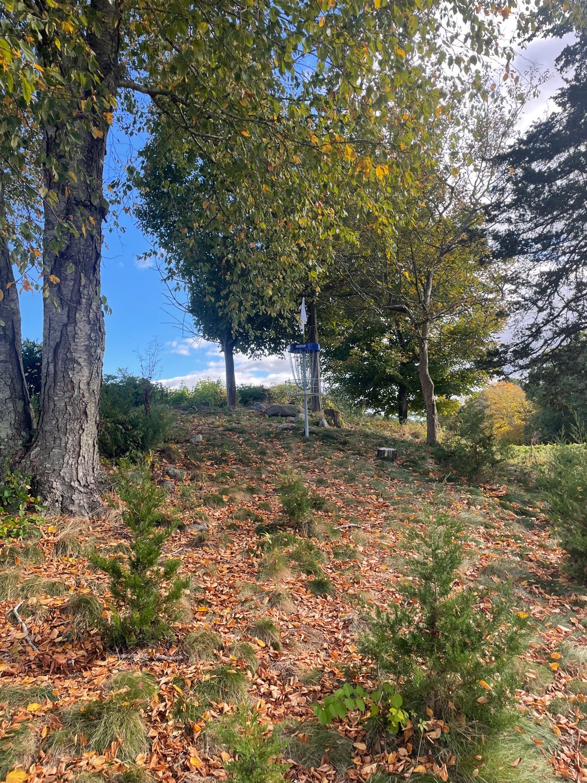 Hole 18’s basket