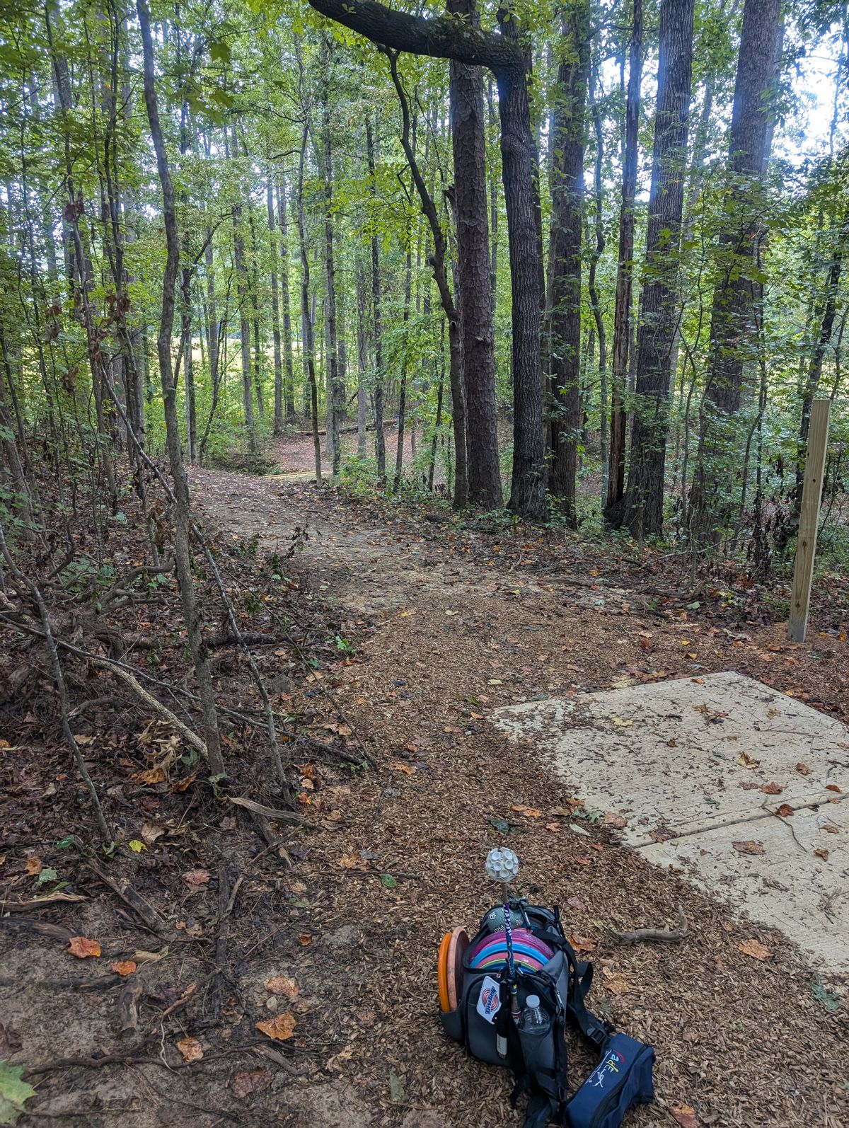 Hole 4
