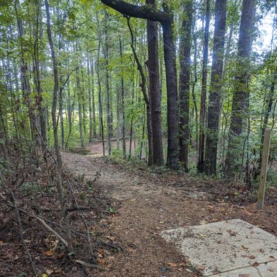 Hole 4
