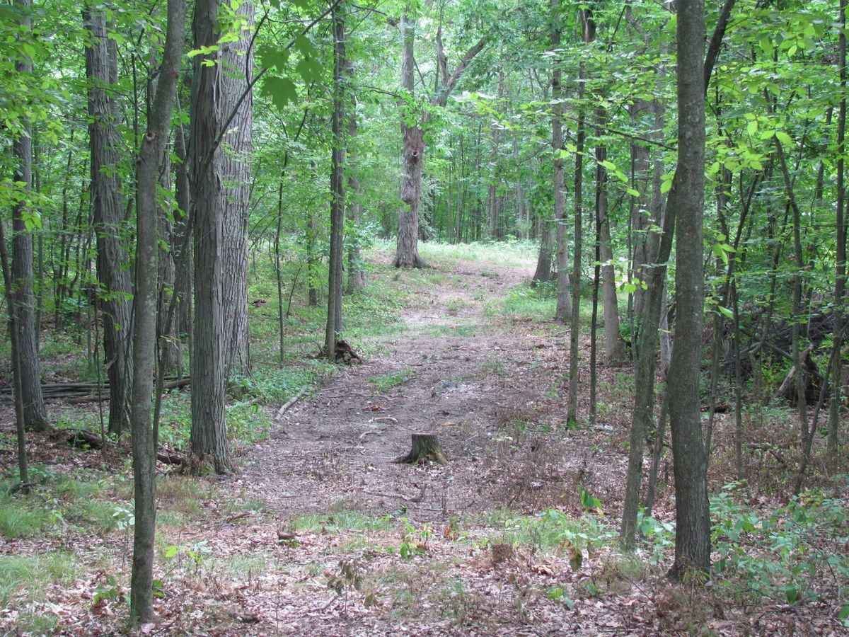 Tee from hole 10