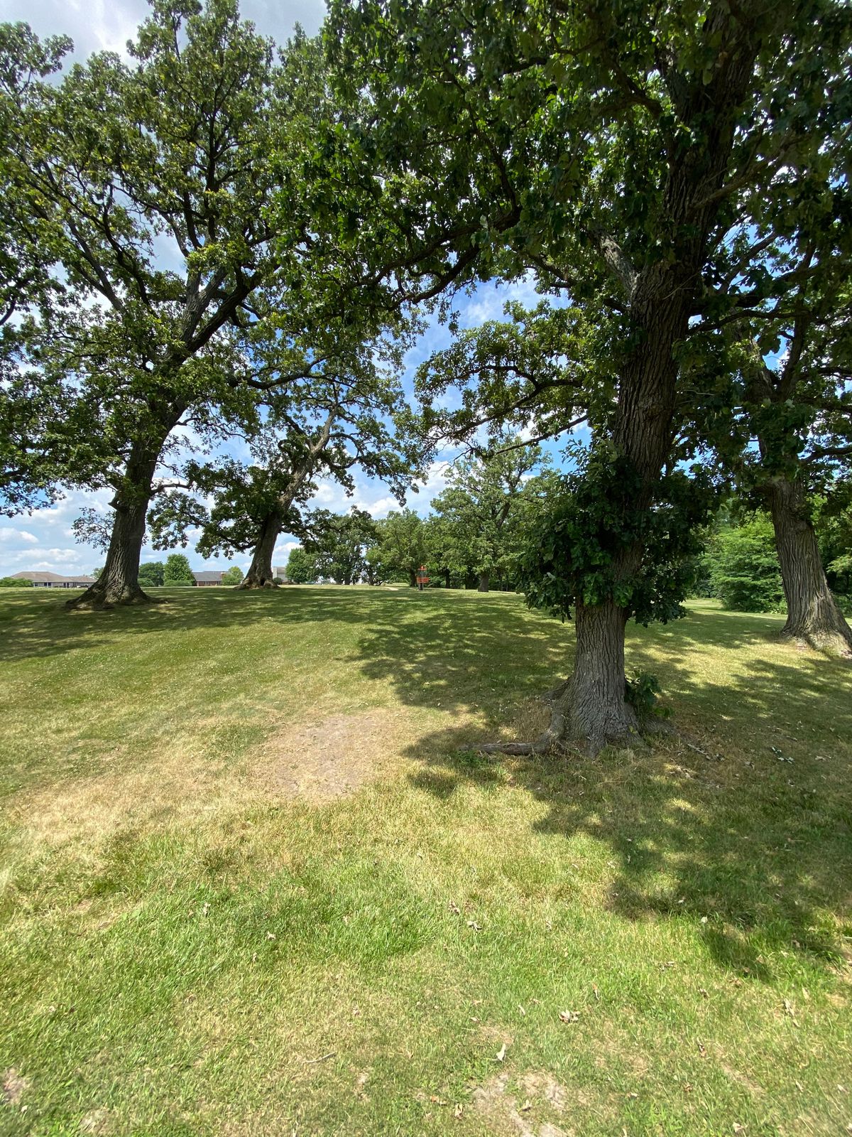 Hole 4 basket