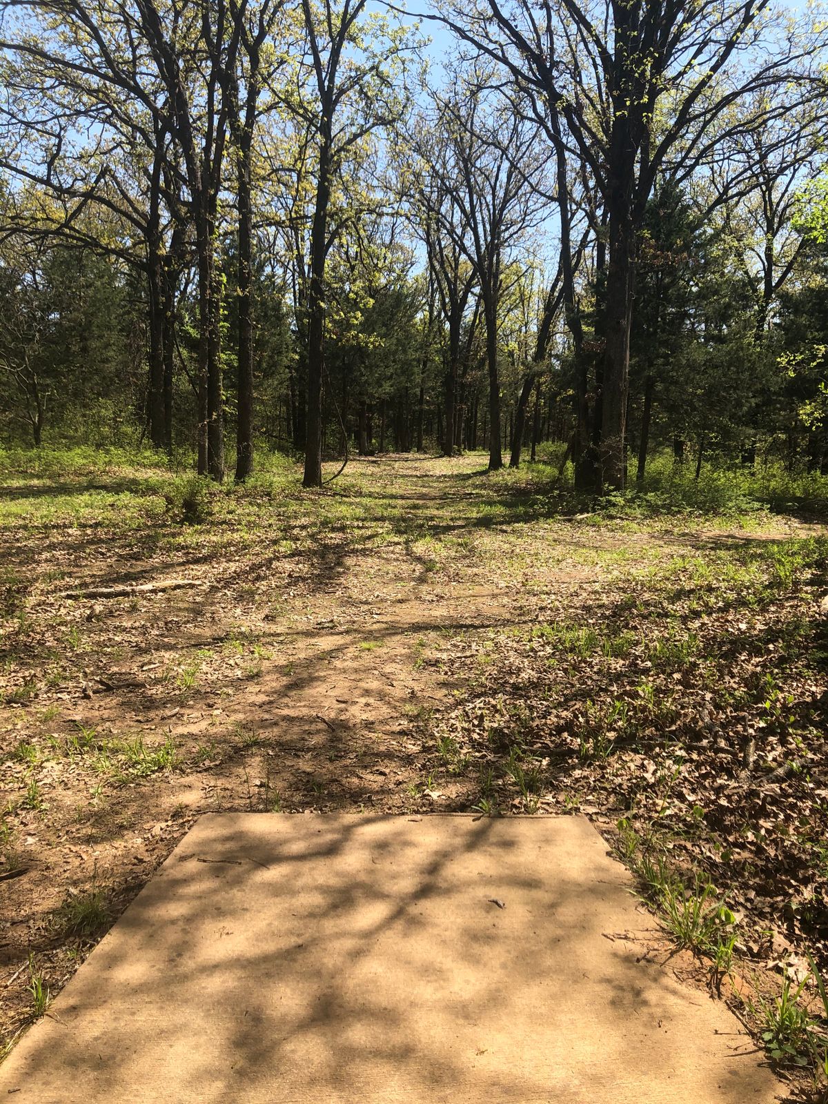 Hole 15 north short