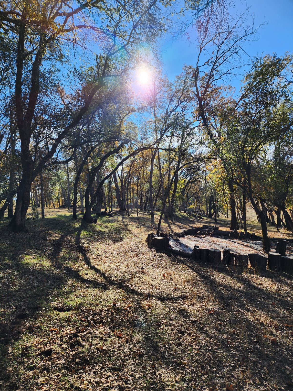 Hole 6 Fairway