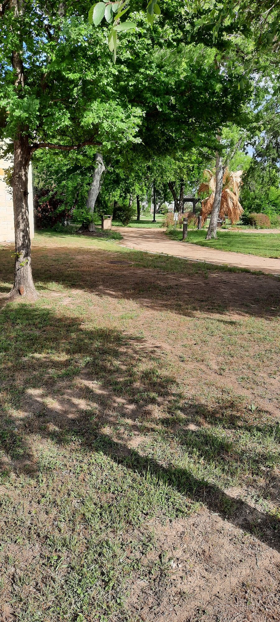 Hole 9 from teepad. Basket is behind bush. Good island shot.