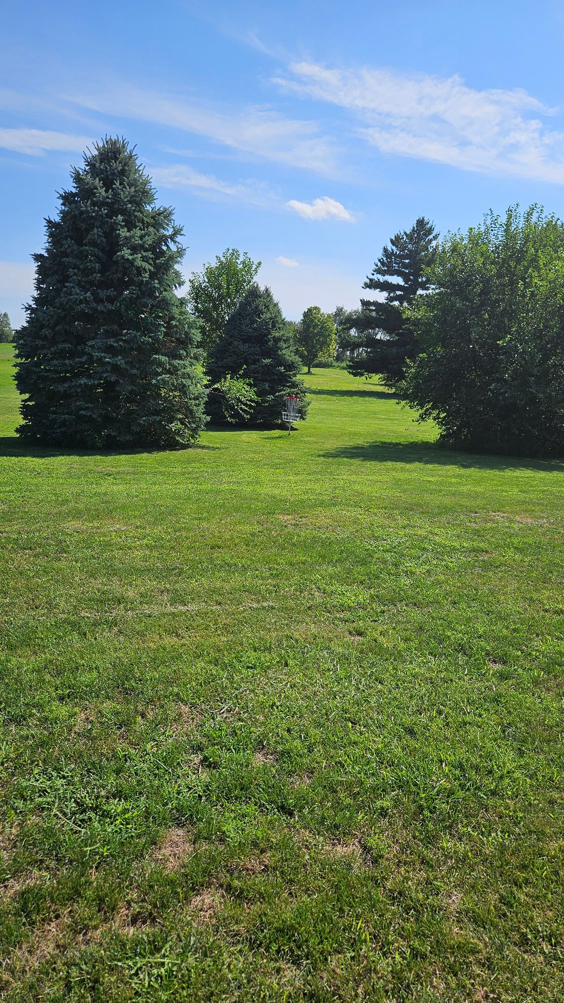 Hole 2 Basket