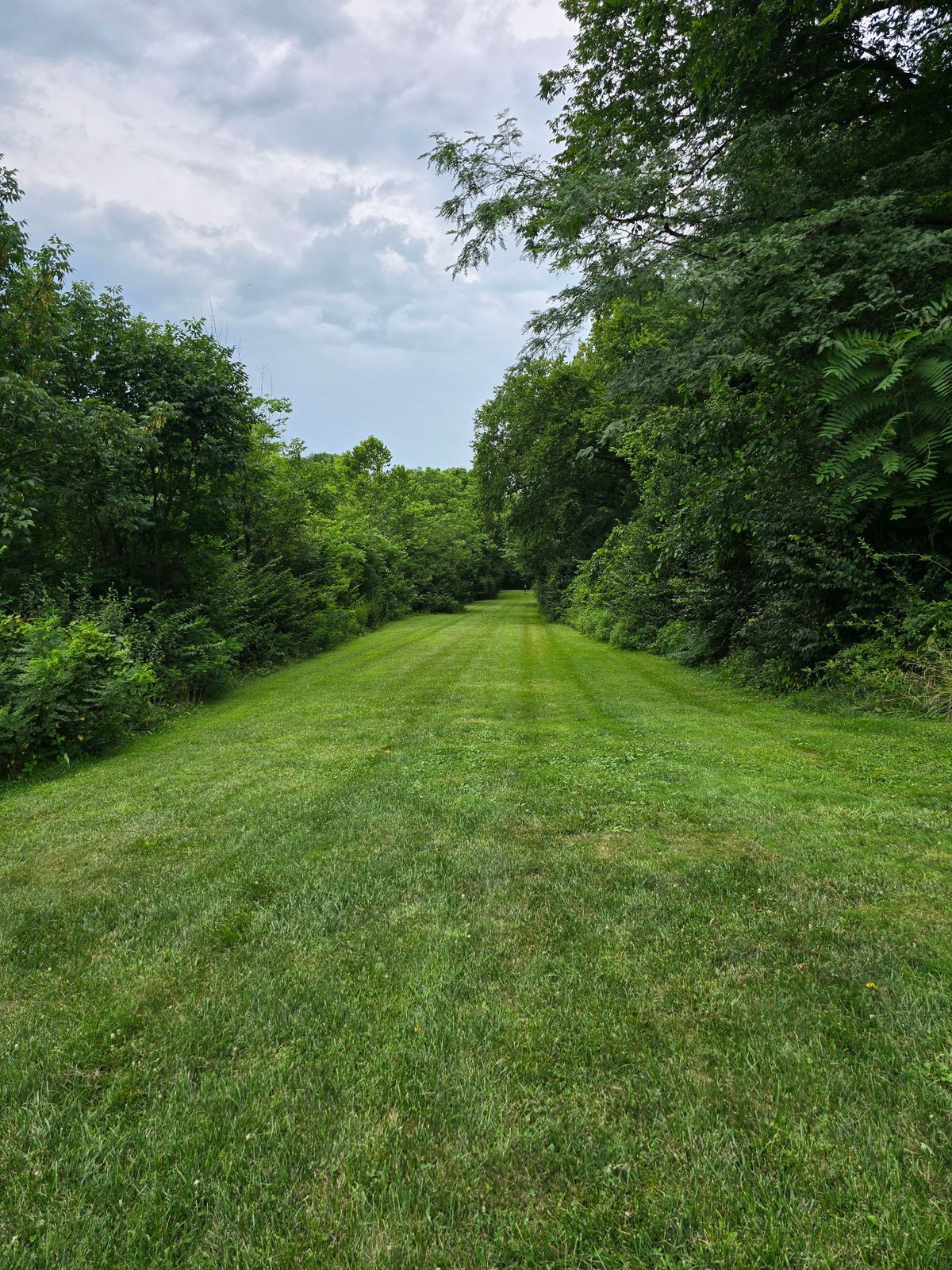 Hole 4 landing zone