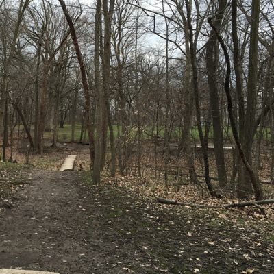 Hole 9