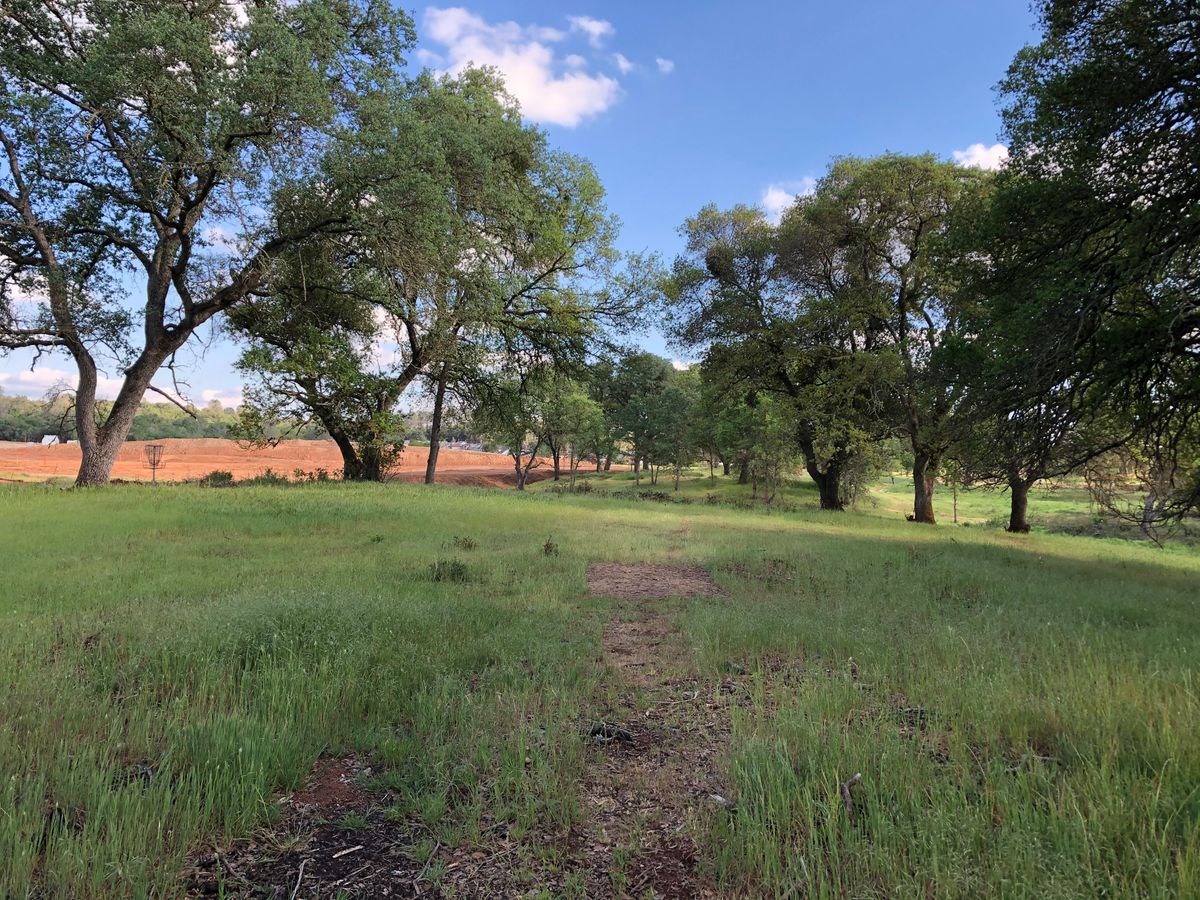 Hole 11
